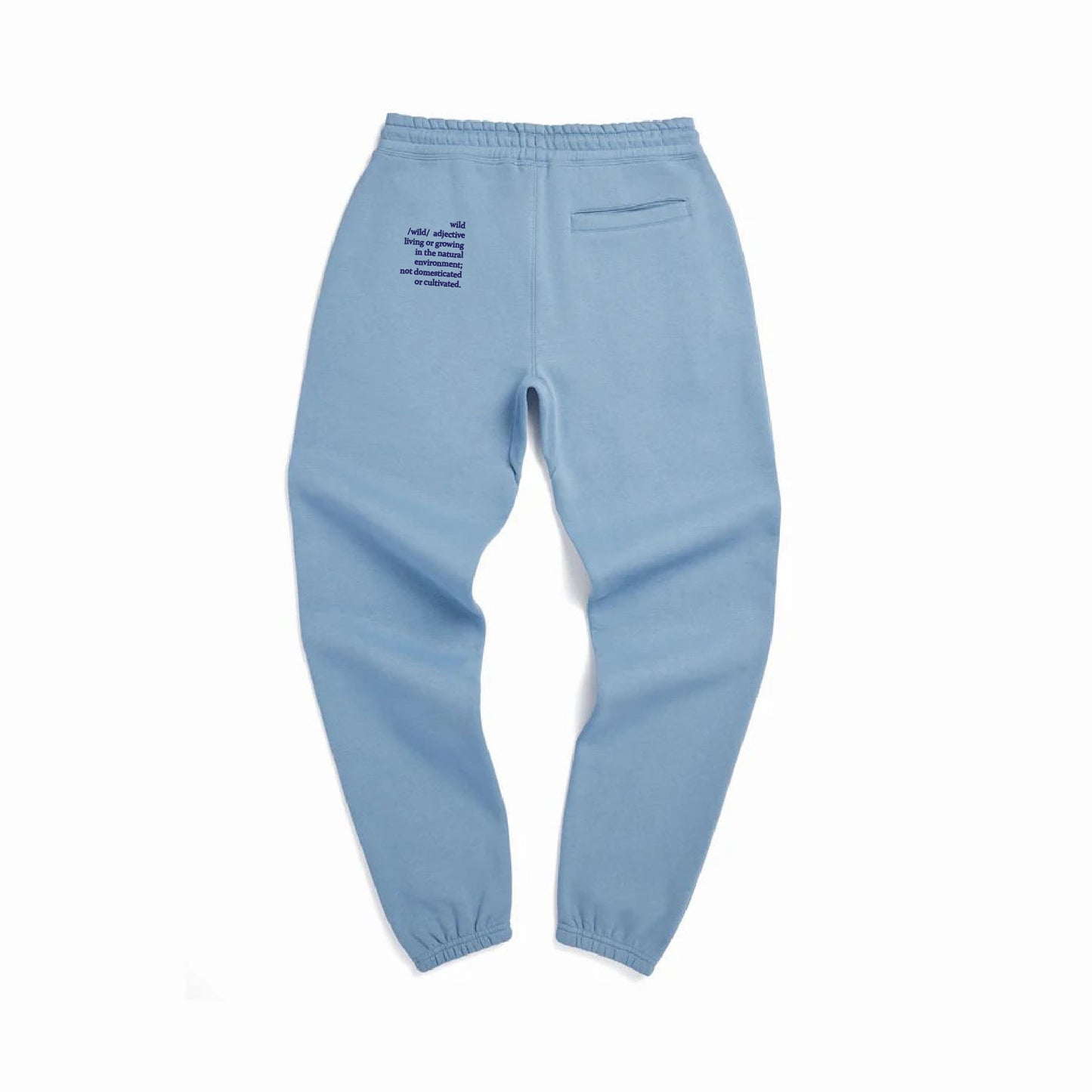 Definition of Wild Unisex Sweatpant in Cloudy Blue